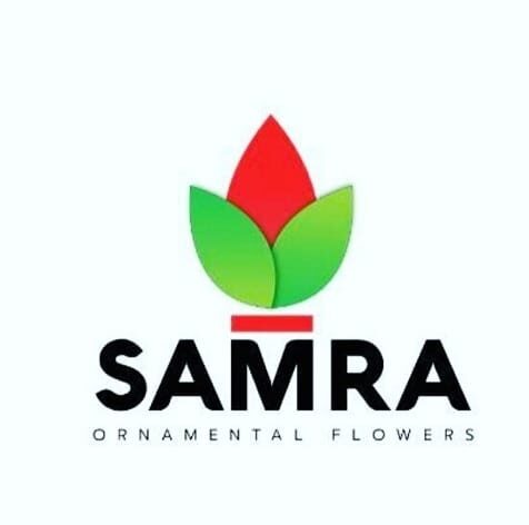 Al Samra Ornamental Flowers